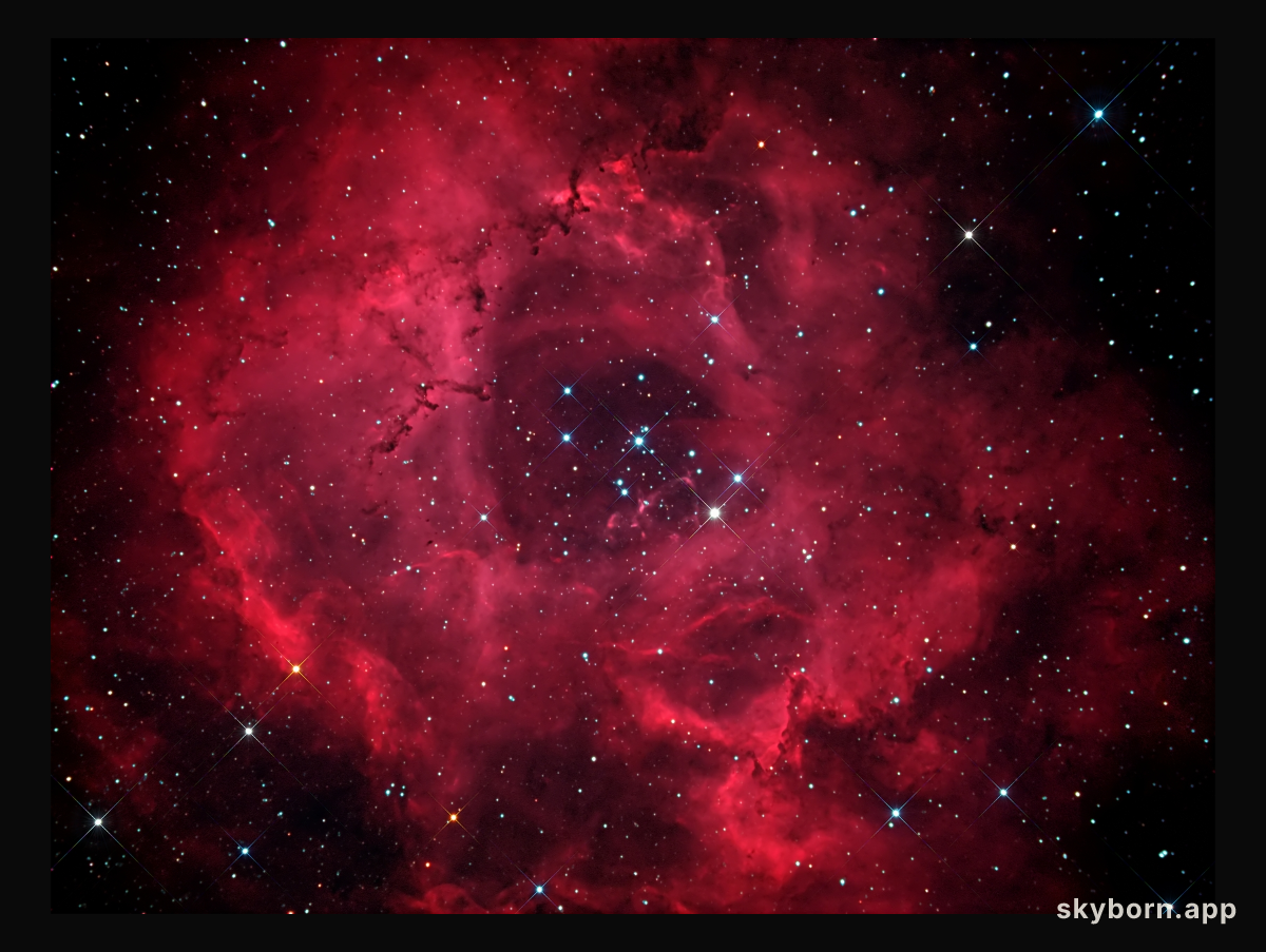 The Rosette Nebula