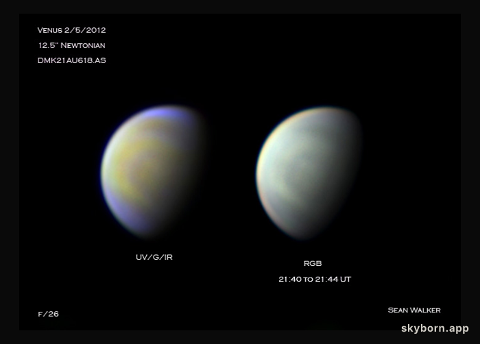Multicolor Venus
