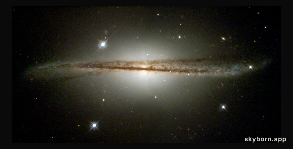 Warped Spiral Galaxy ESO 510-13