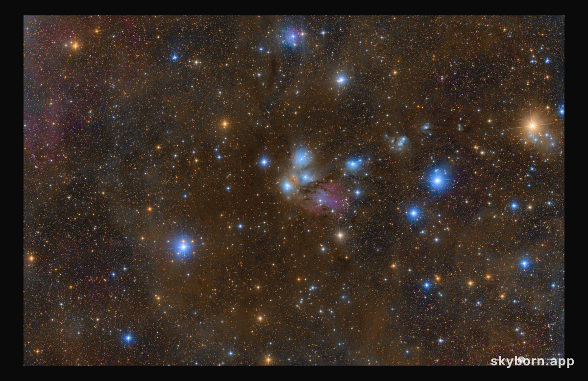 NGC 2170: Celestial Still Life