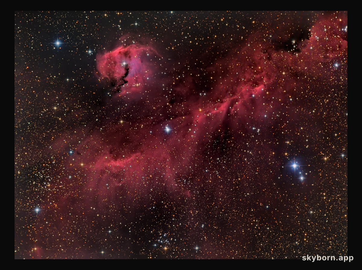 The Seagull Nebula