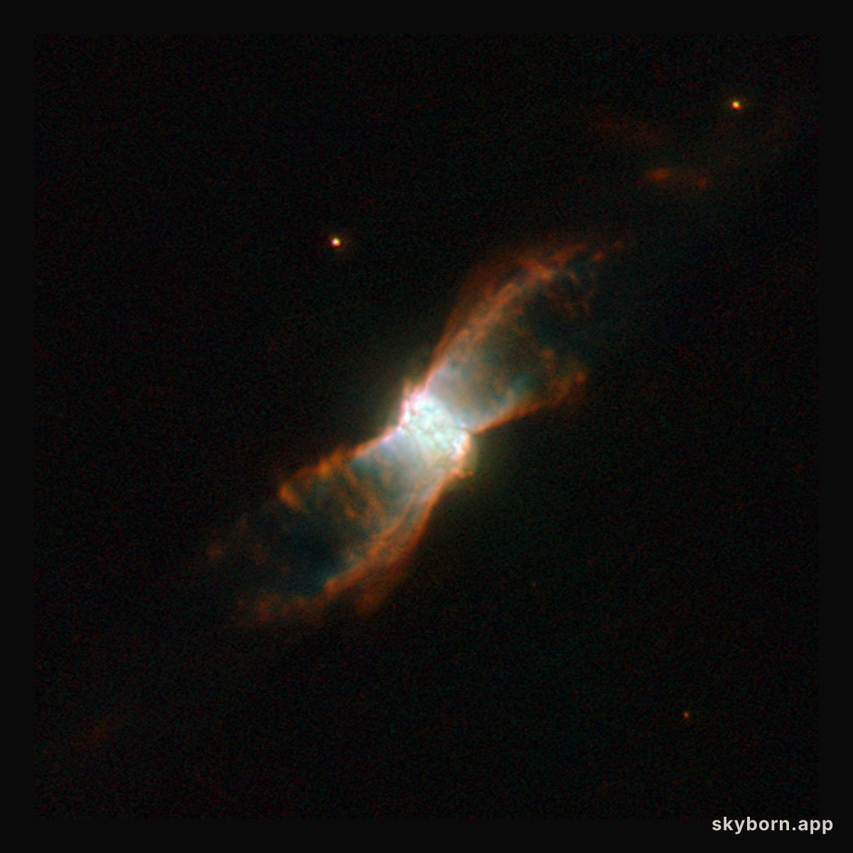 Stellar voyage of a butterfly-like planetary nebula