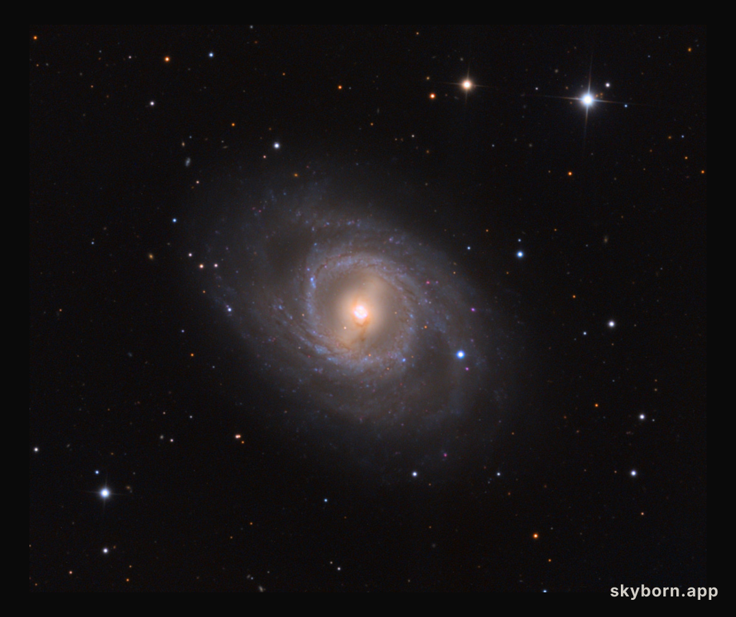 M95 with Supernova