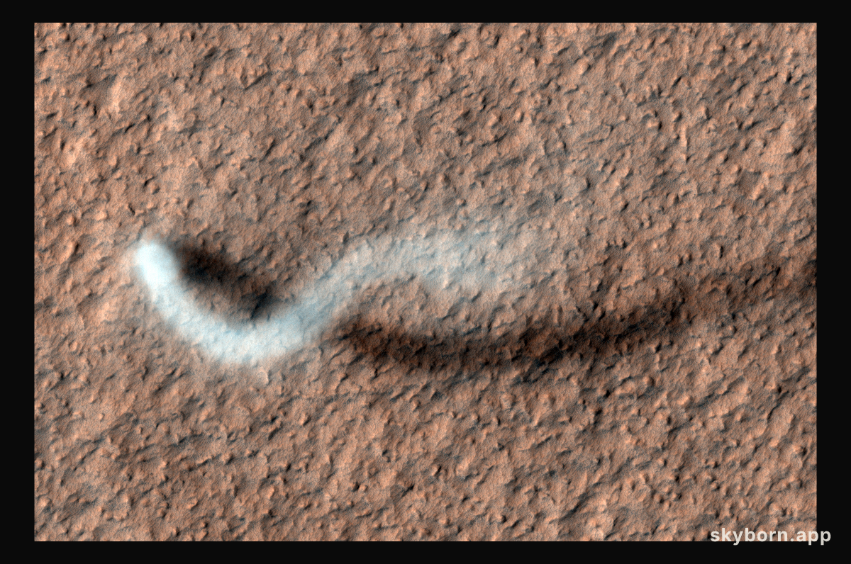 A Dust Devil of Mars