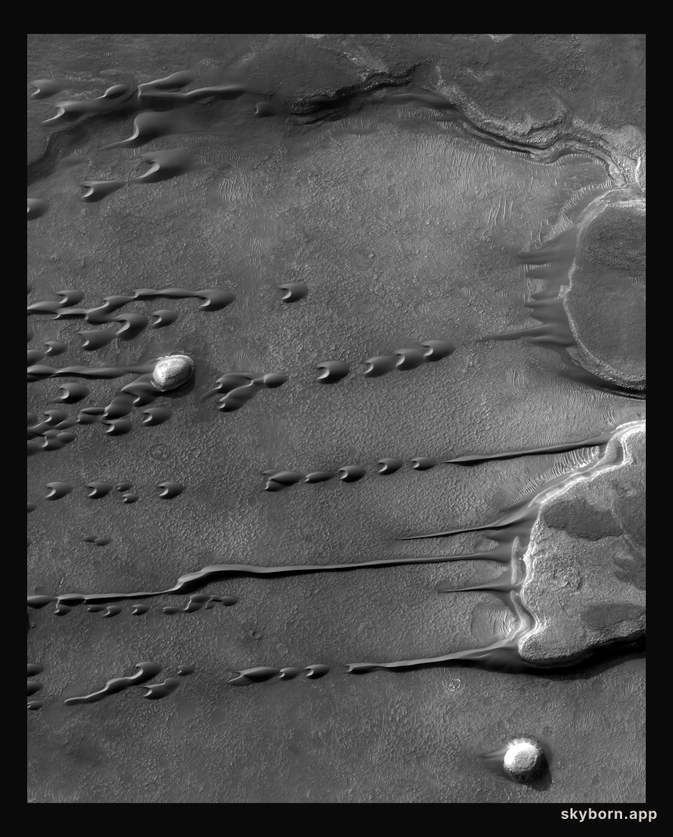 Flowing Barchan Sand Dunes on Mars