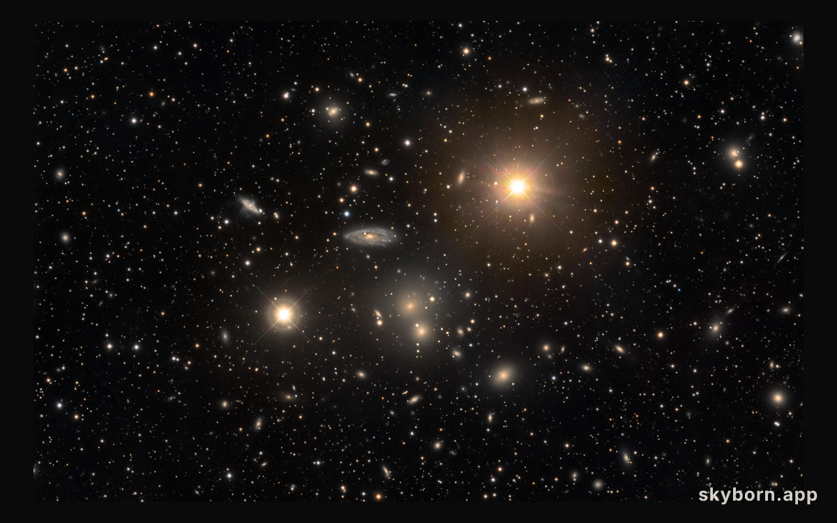 The Hydra Cluster of Galaxies