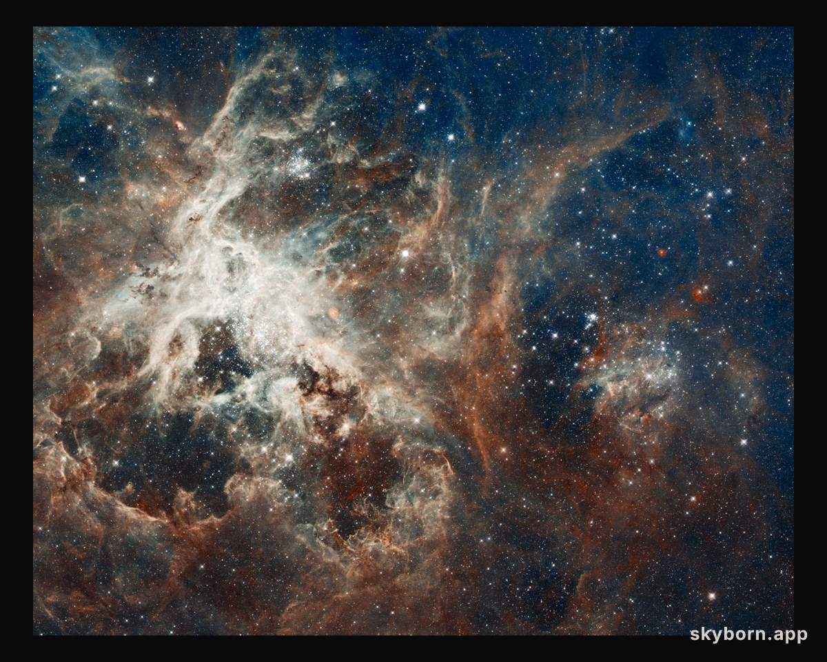 Star Formation in the Tarantula Nebula