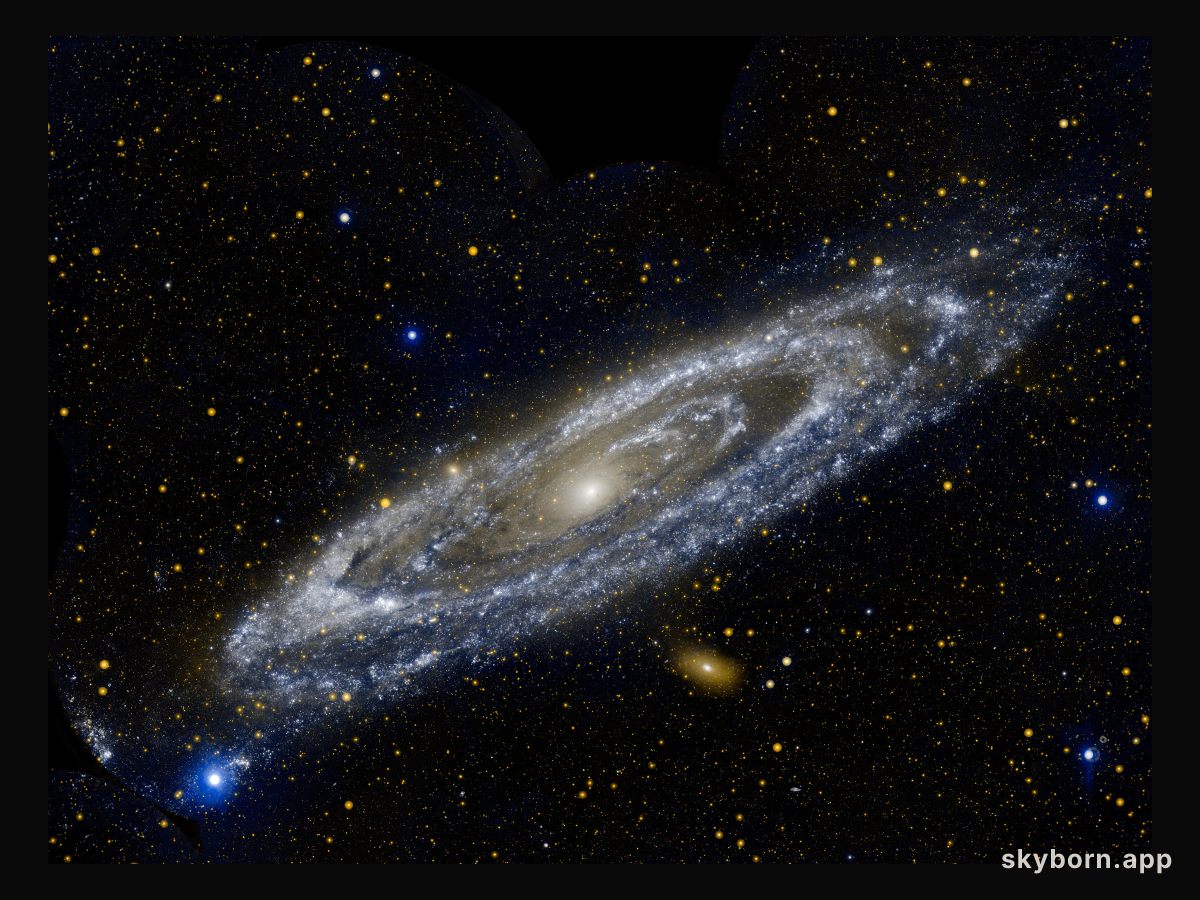 GALEX: The Andromeda Galaxy