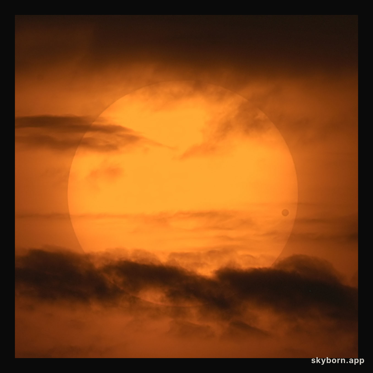 A Picturesque Venus Transit