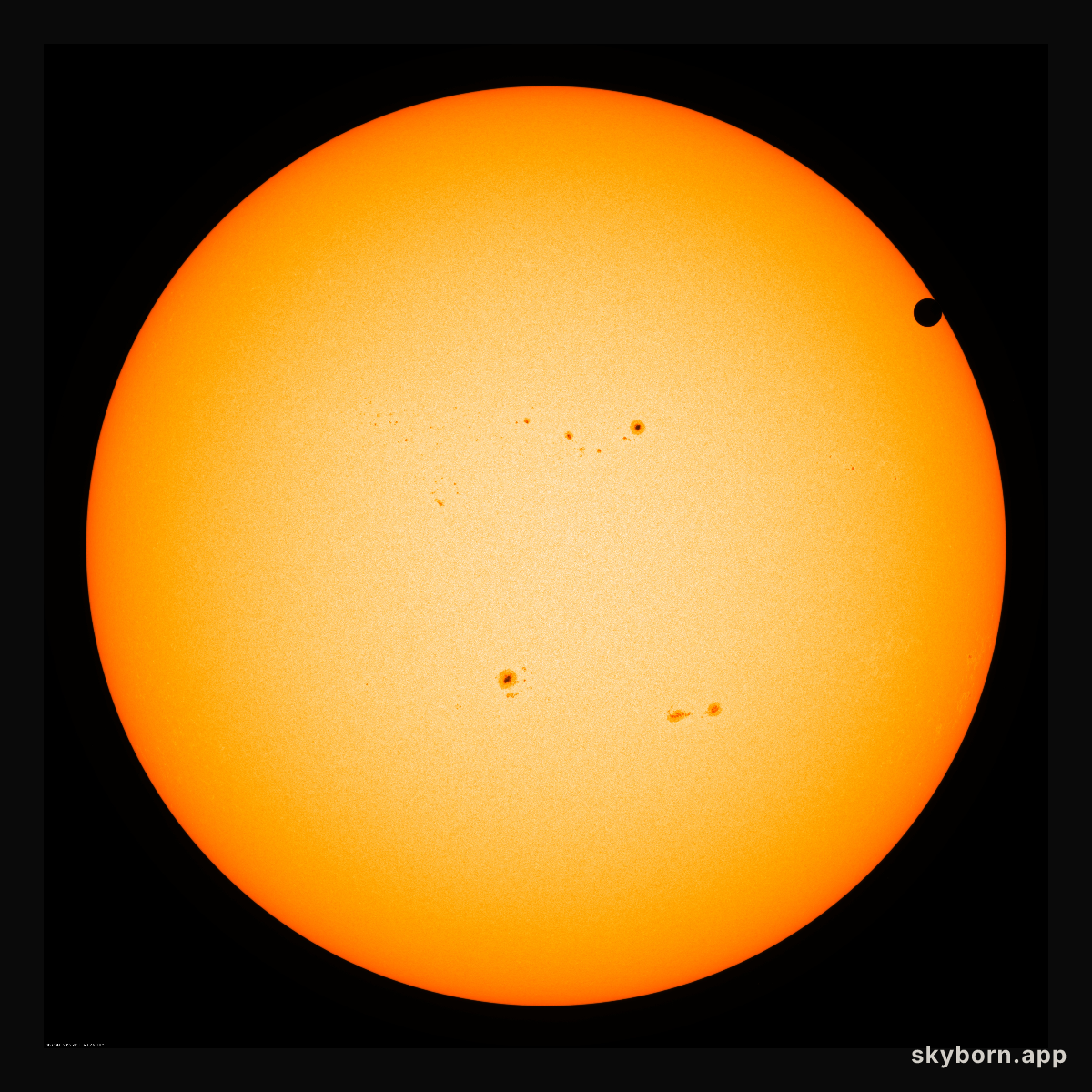 Live: Watching for Venus to Cross the Sun