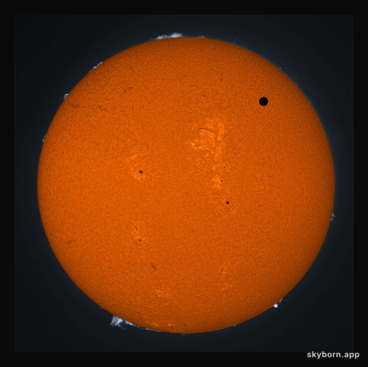 Venus Transit 2012