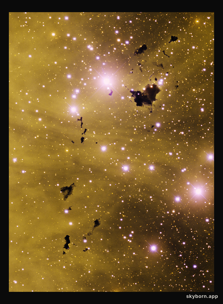 Thackeray's Globules
