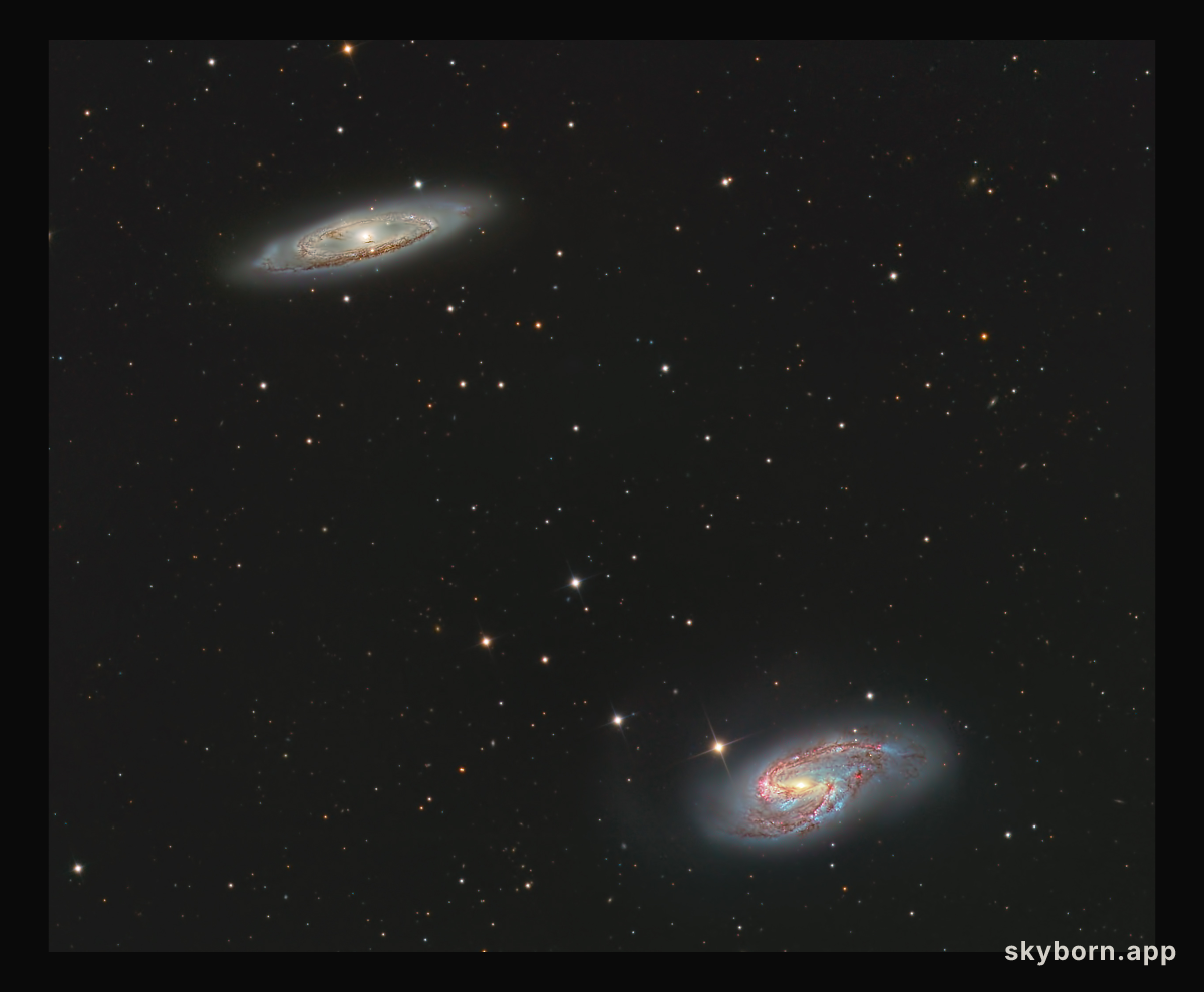 M65 and M66