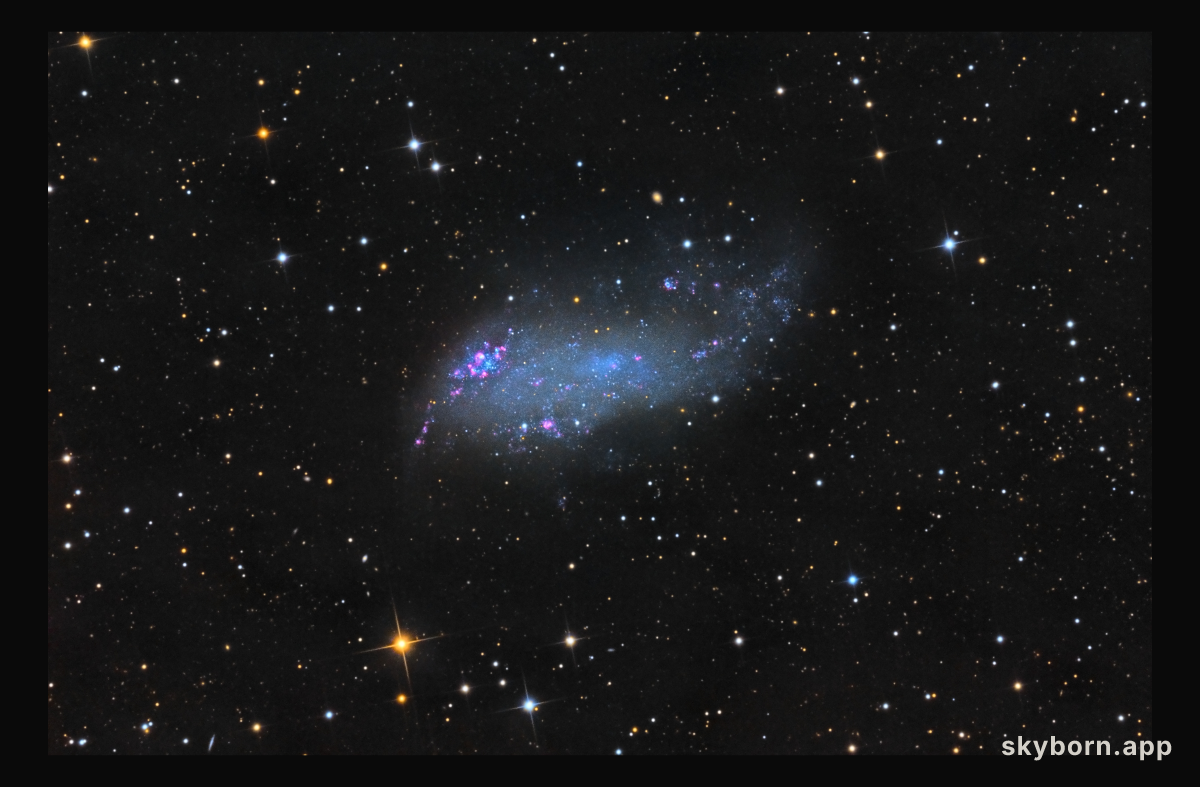 IC 2574: Coddington's Nebula
