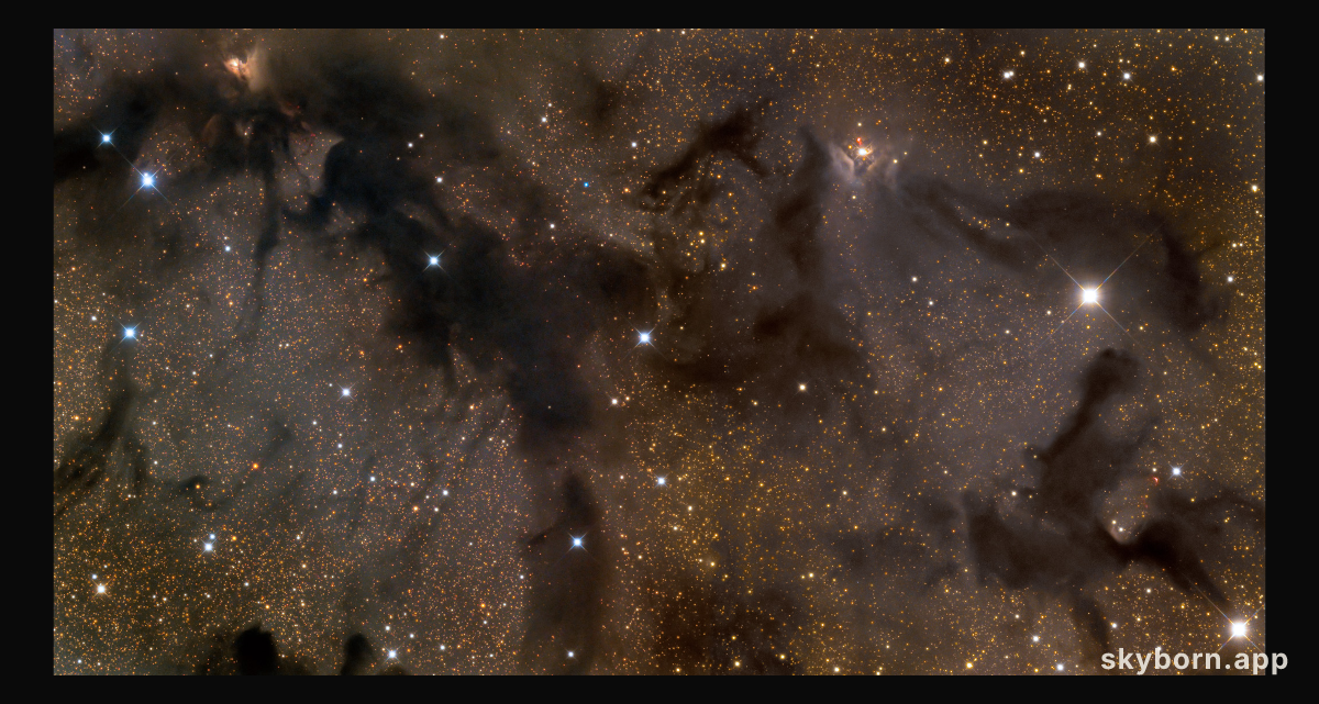 Dark Clouds in Aquila