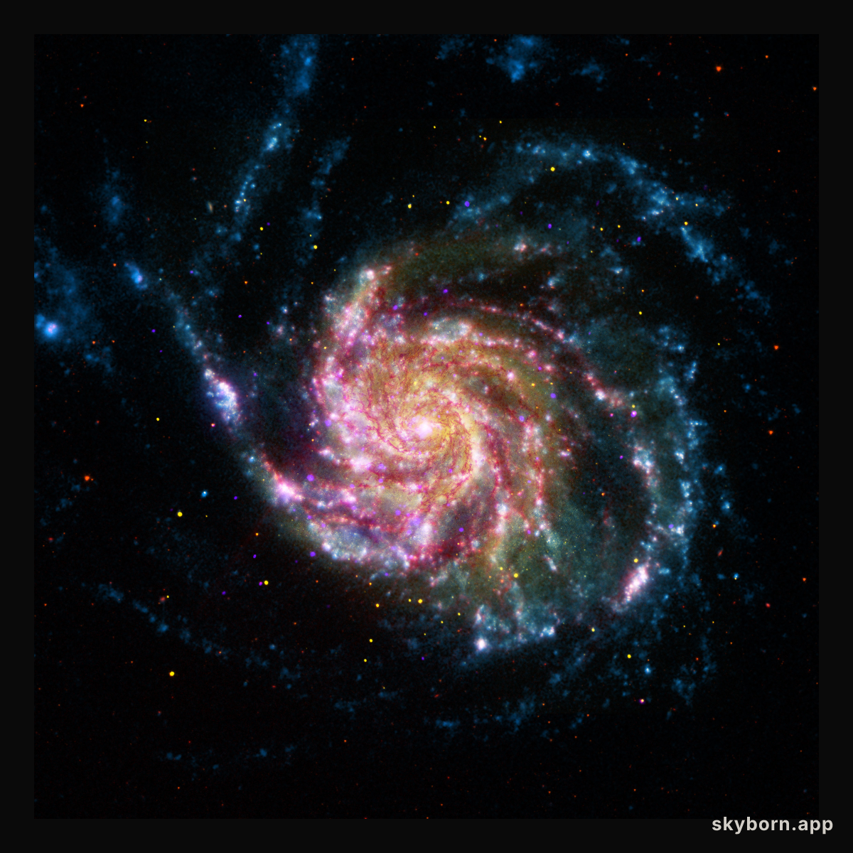 21st Century M101