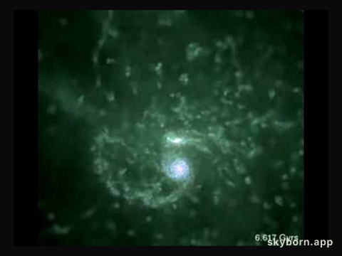 Simulation: A Disk Galaxy Forms