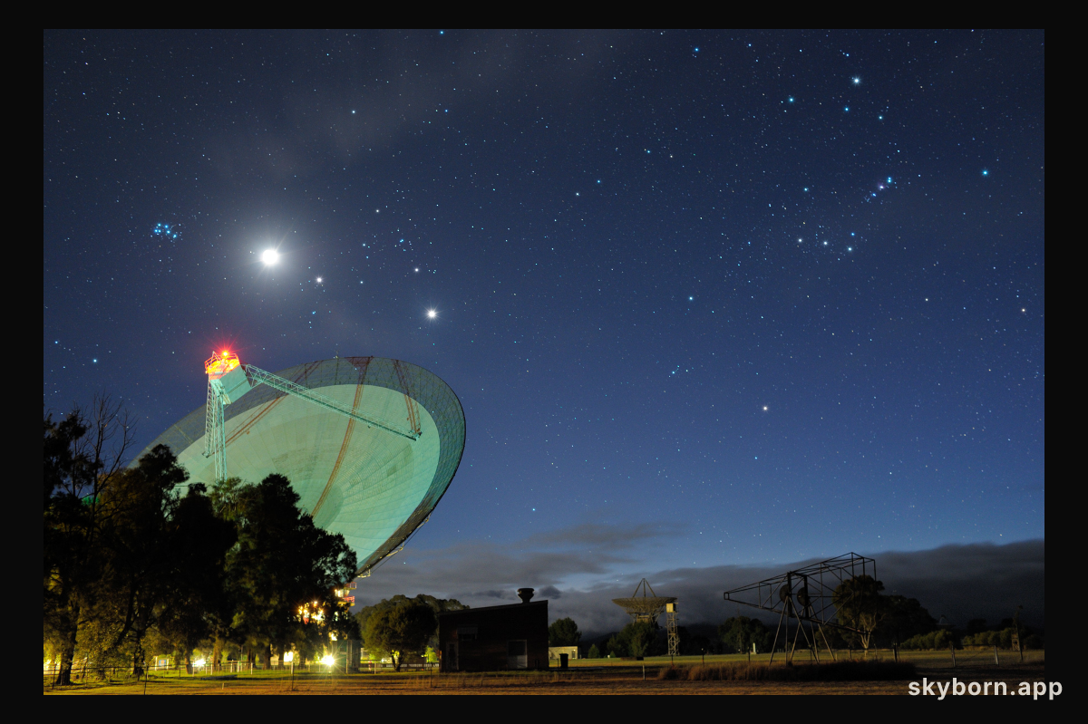 Dawn of the Dish