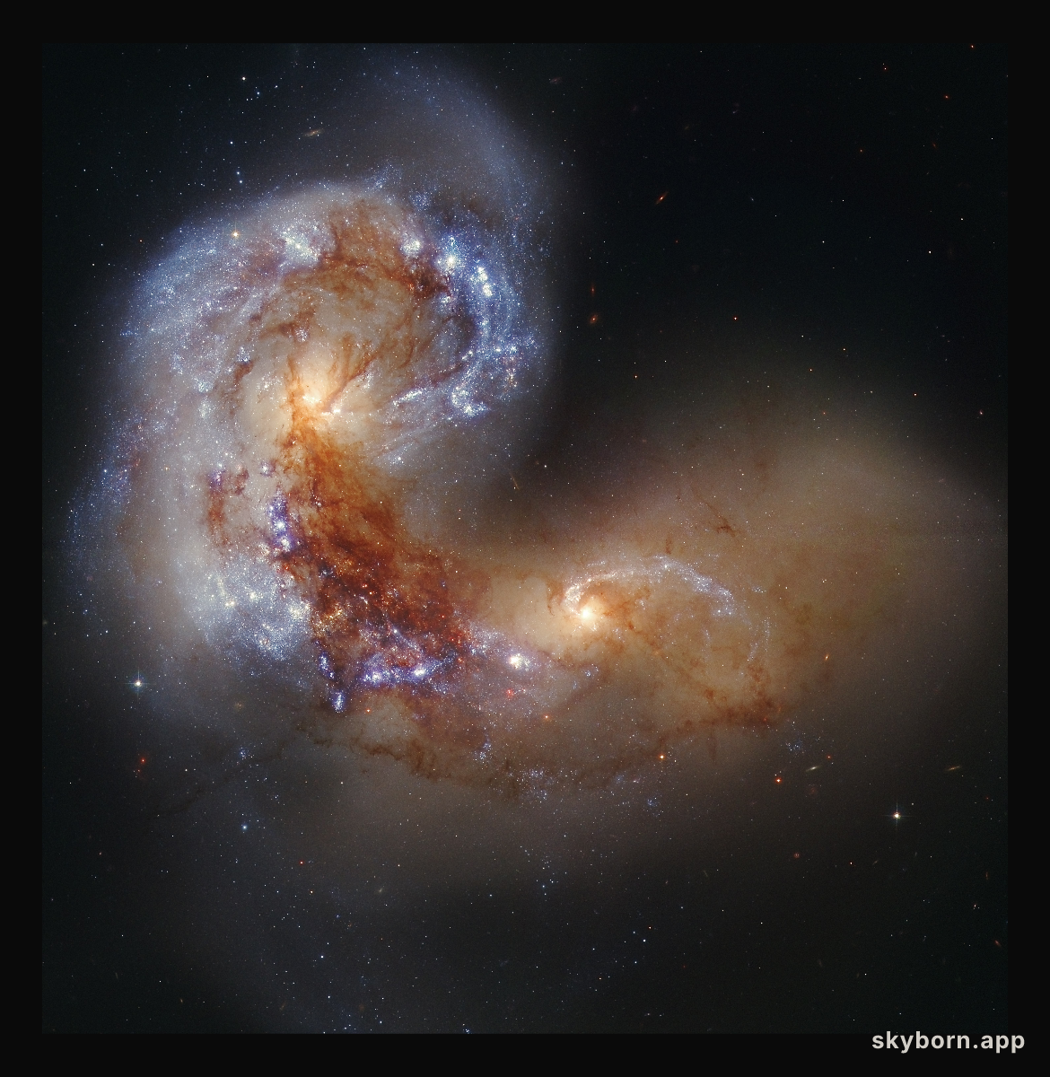 Spiral Galaxy NGC 4038 in Collision