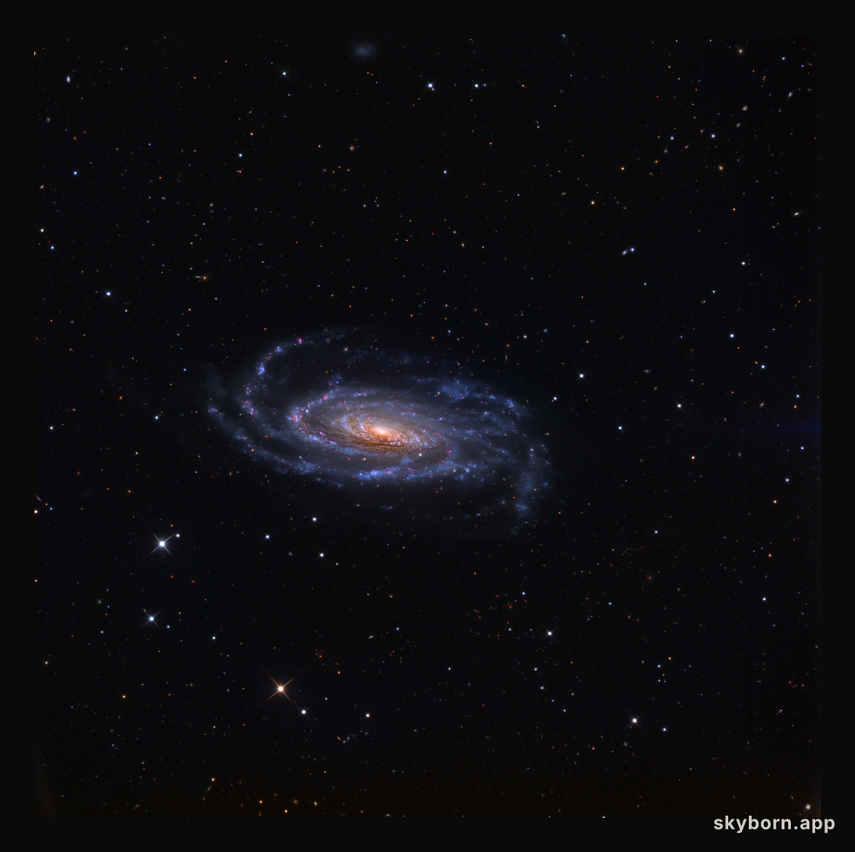 Spiral Galaxy NGC 5033
