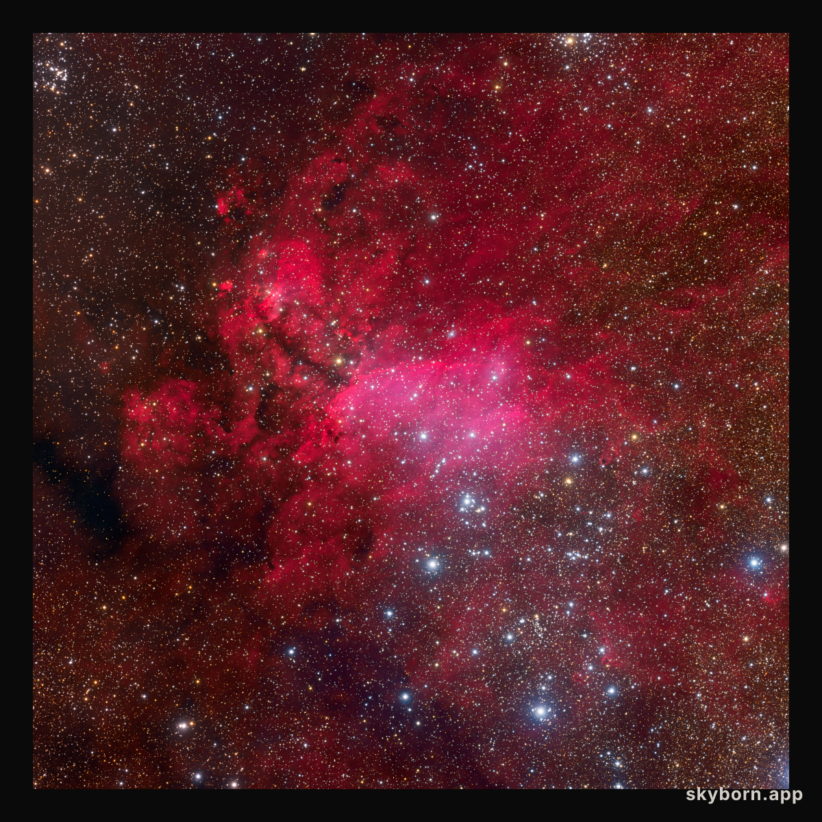 IC 4628: The Prawn Nebula
