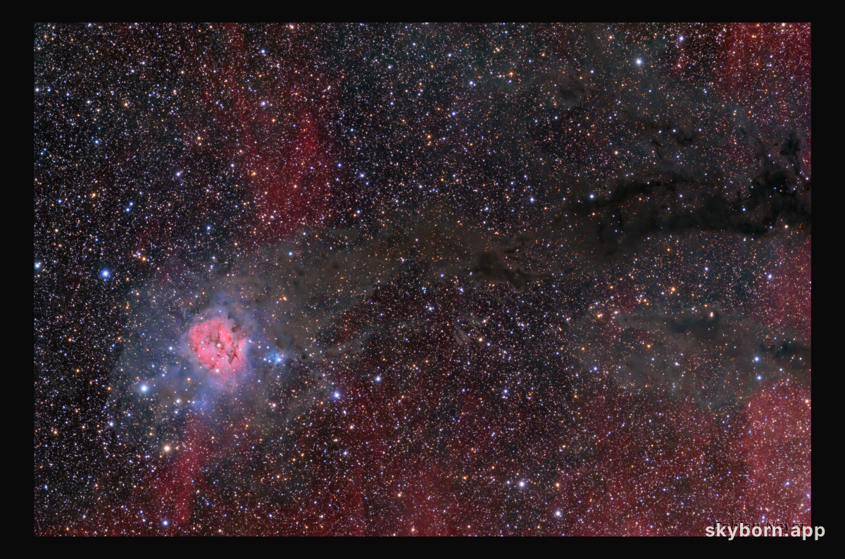 Cocoon Nebula Wide Field