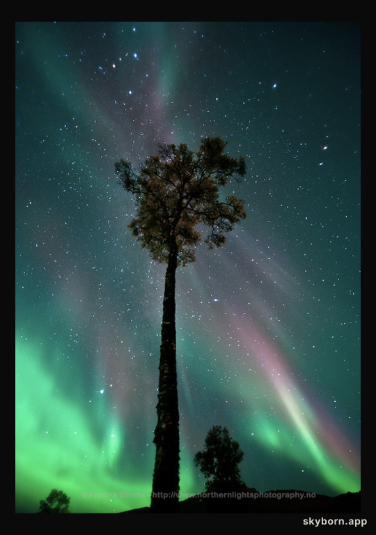 September's Aurora