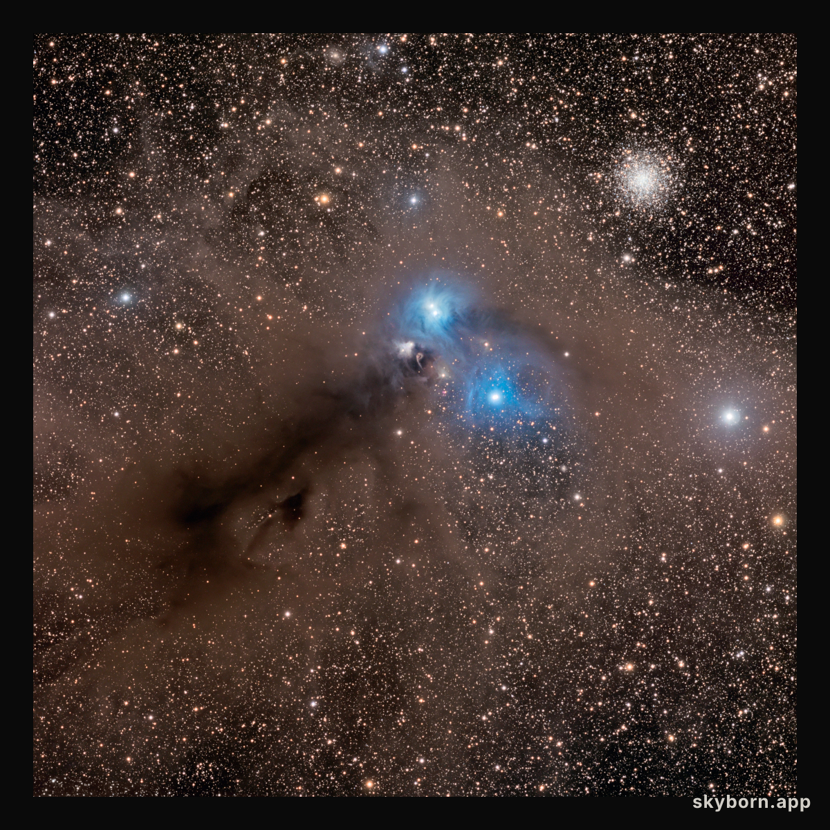 Stars and Dust Across Corona Australis