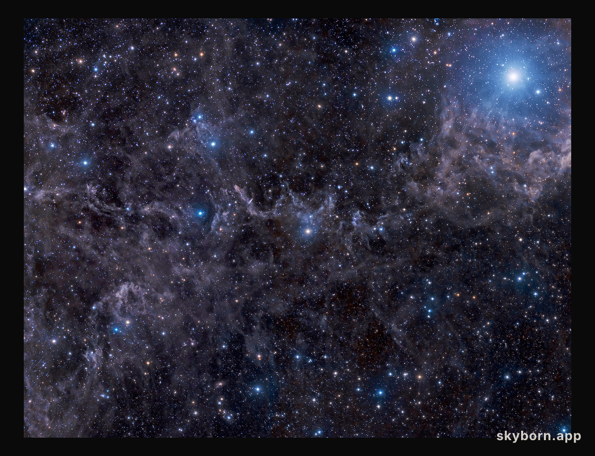Stars in a Dusty Sky