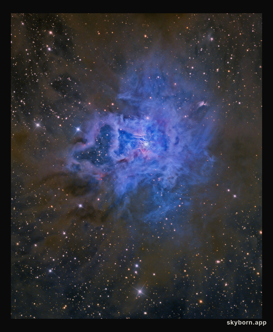 NGC 7023: The Iris Nebula