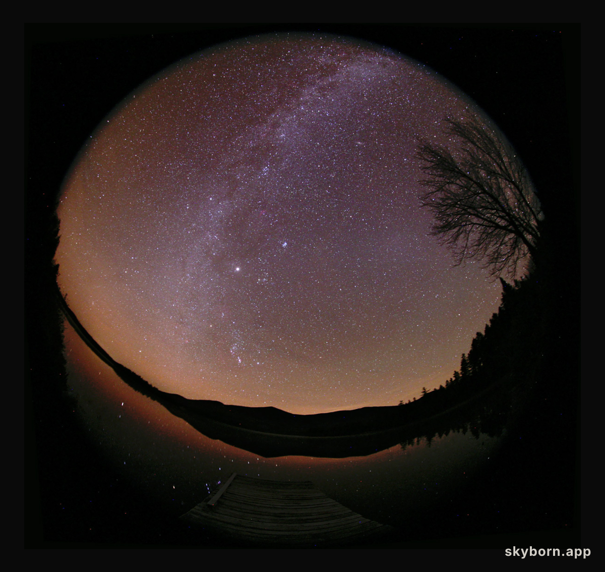 Zodiacal Light and Milky Way