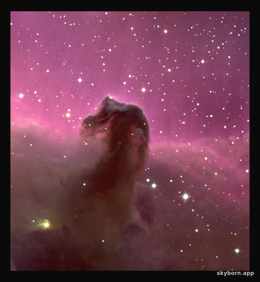 The Horsehead Nebula