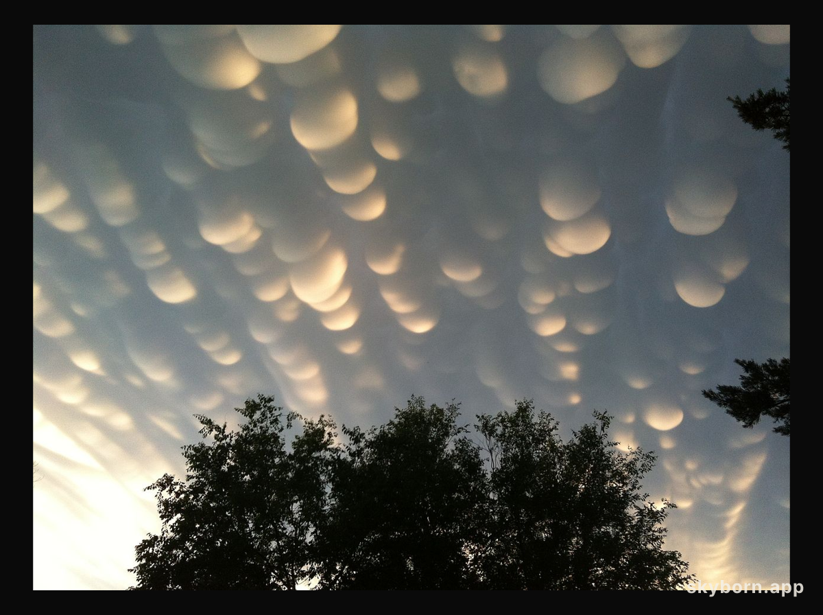 Mammatus Clouds Over Saskatchewan