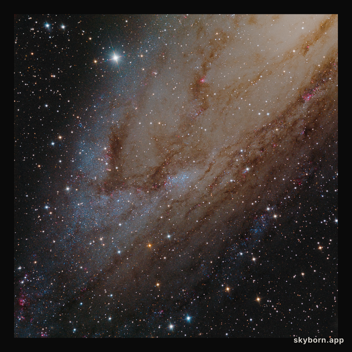 NGC 206 and the Star Clouds of Andromeda