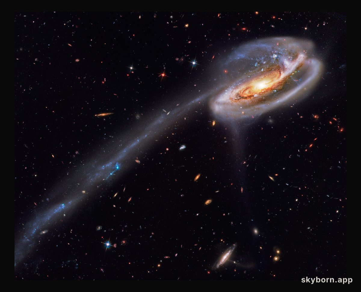 Arp 188 and the Tadpole's Tail
