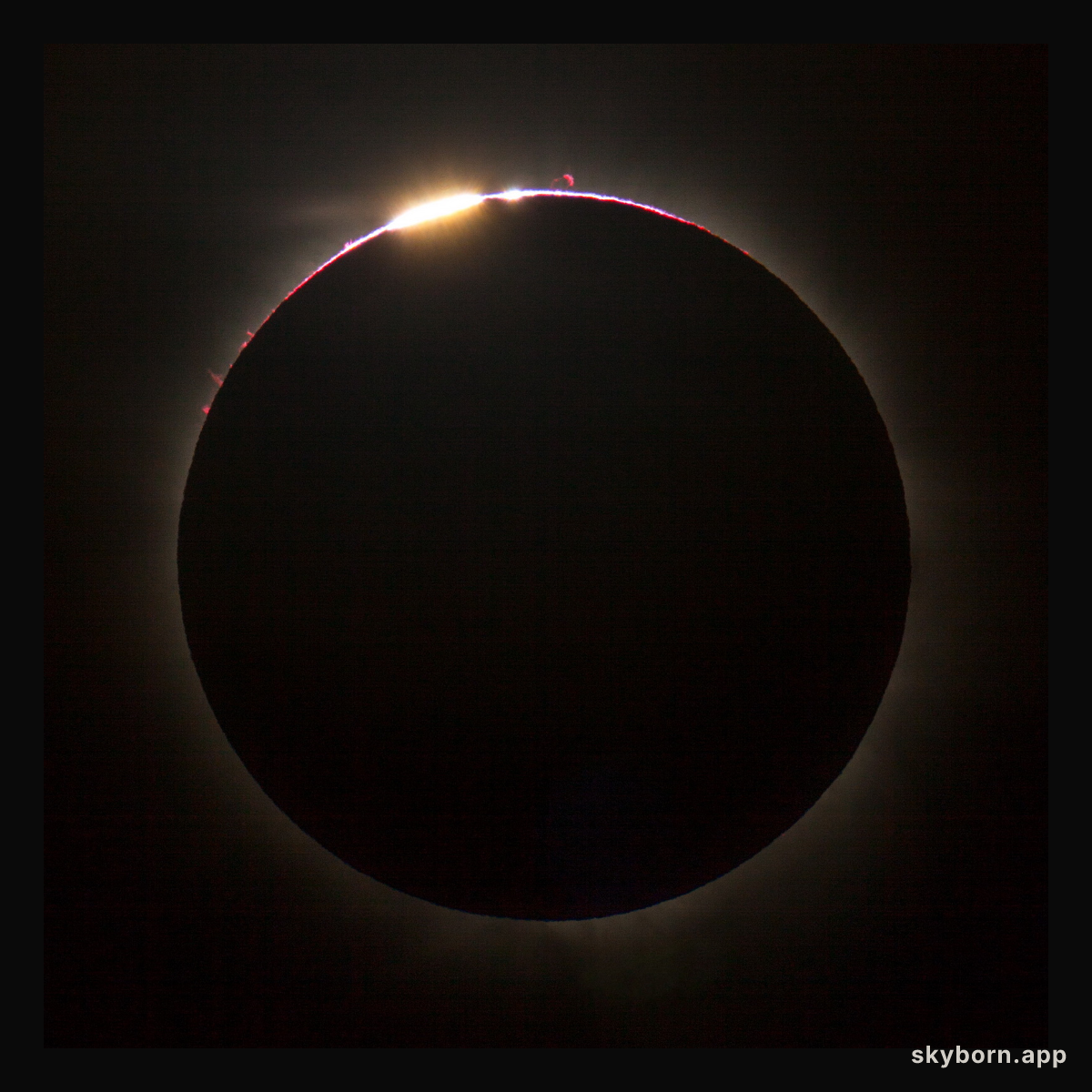Solar Eclipse over Queensland