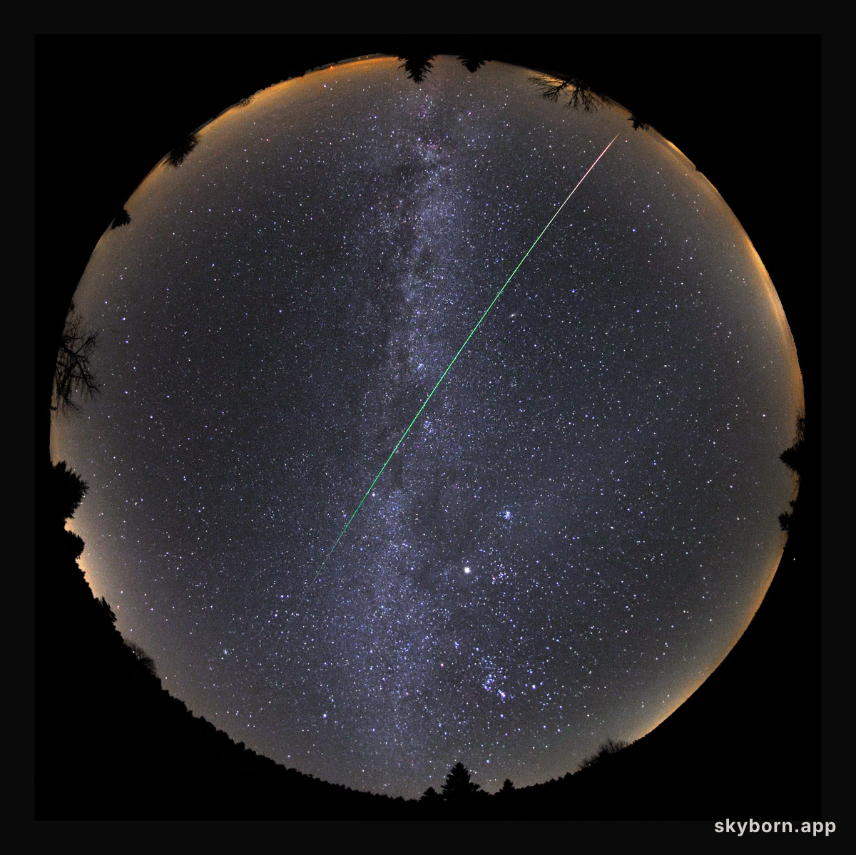 Night of the Long Leonid