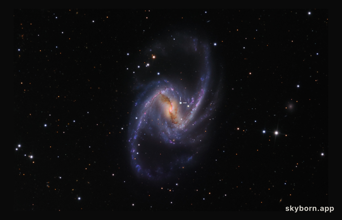 NGC 1365: Majestic Spiral with Supernova