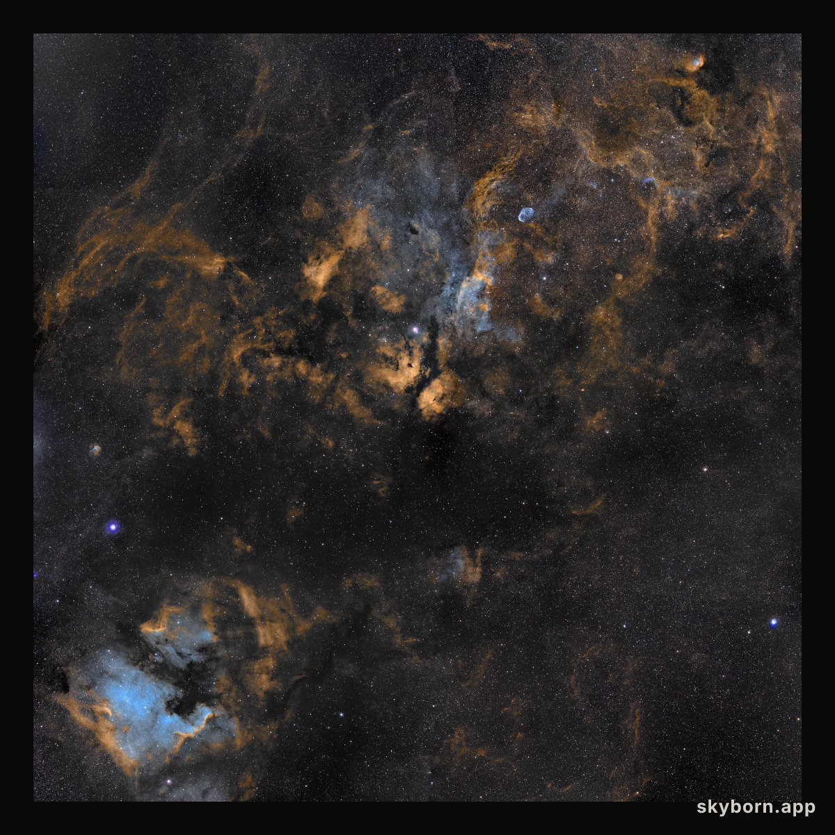 Clouds in Cygnus