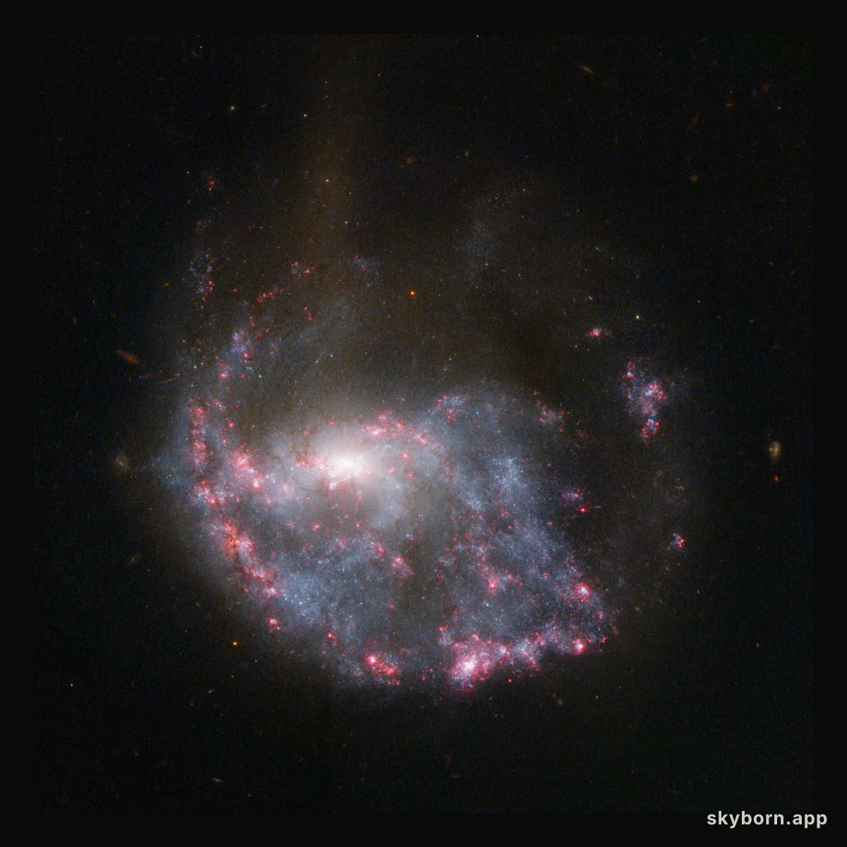 NGC 922: Collisional Ring Galaxy