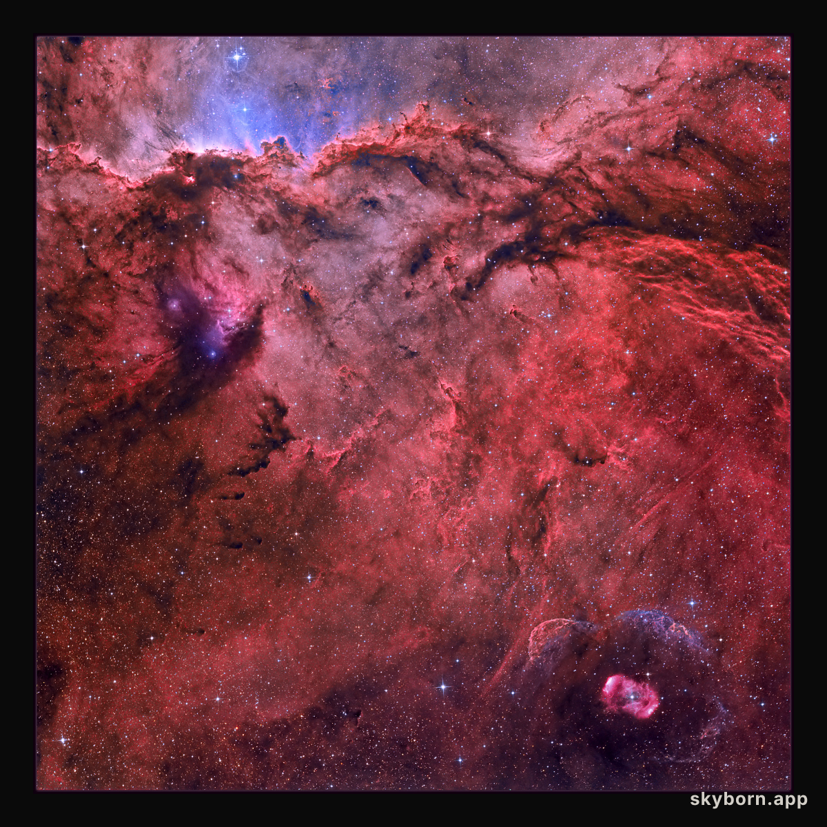 NGC 6188 and NGC 6164
