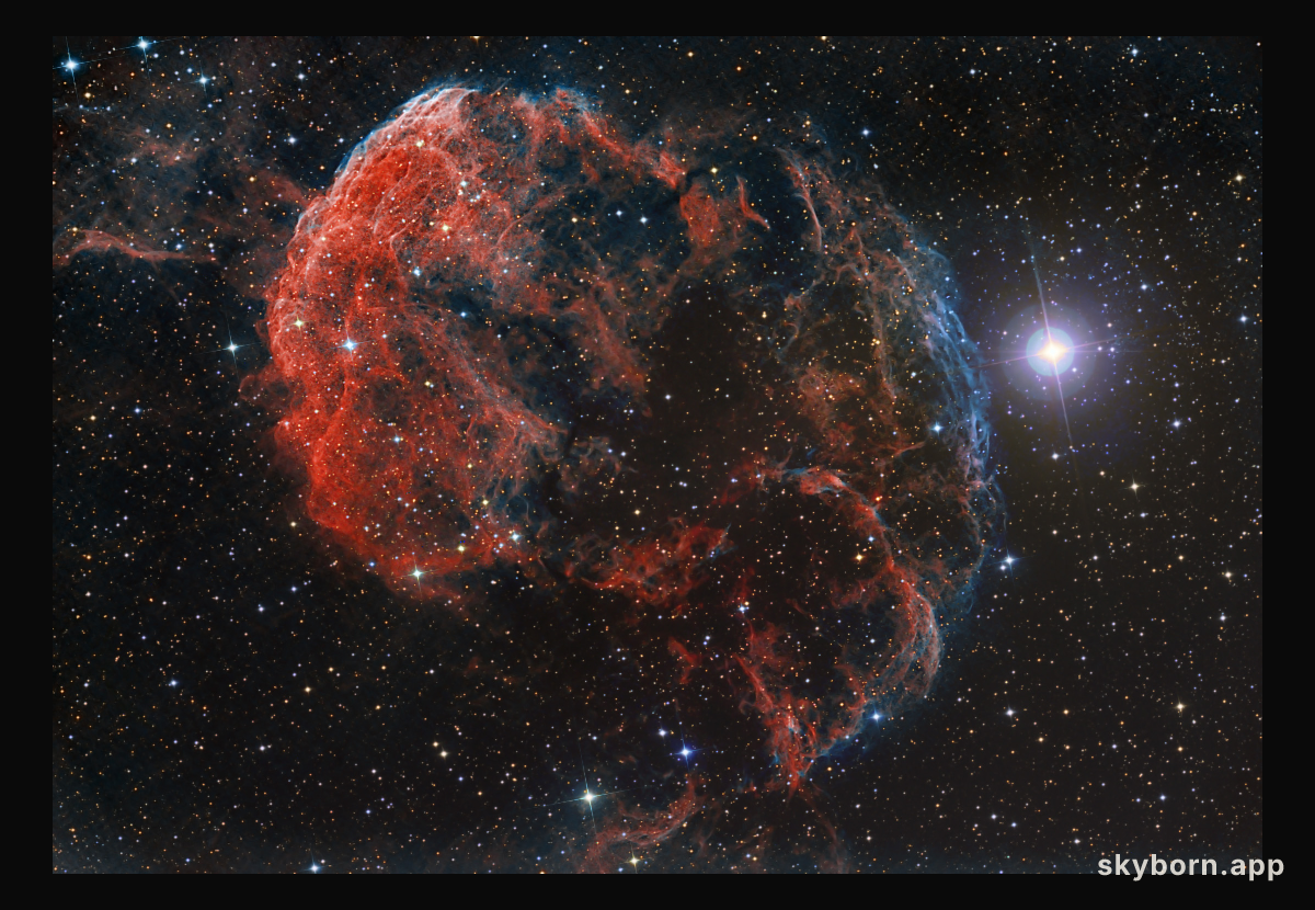 The Elusive Jellyfish Nebula