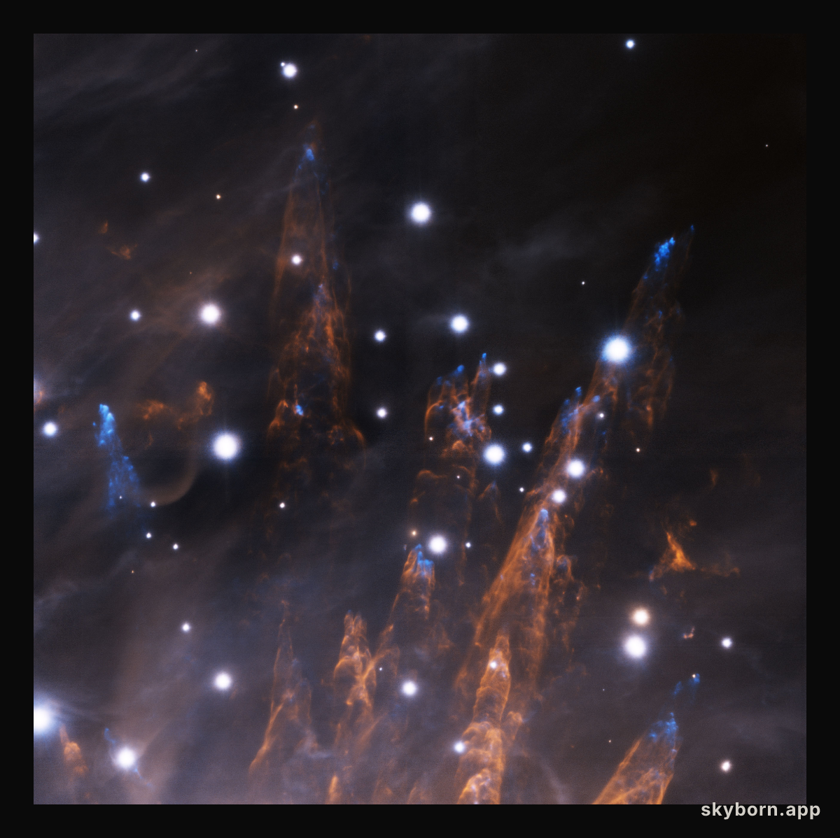The Orion Bullets