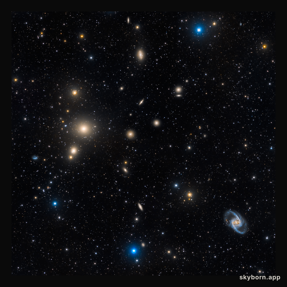 The Fornax Cluster of Galaxies
