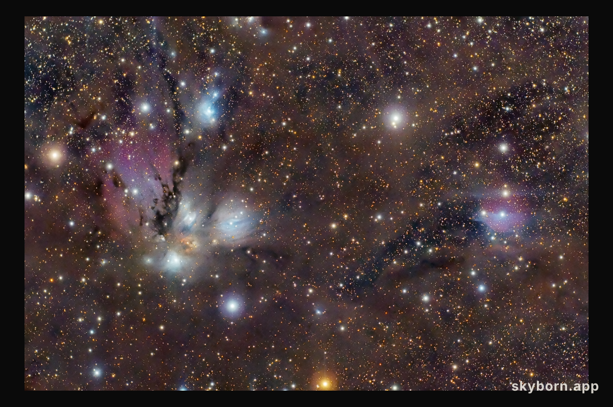 NGC 2170: Celestial Still Life