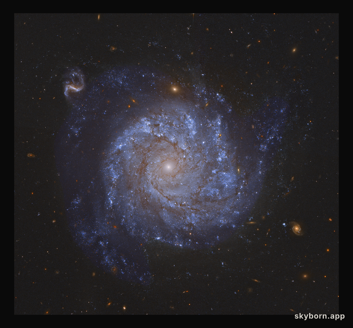 NGC 1309: Spiral Galaxy and Friends