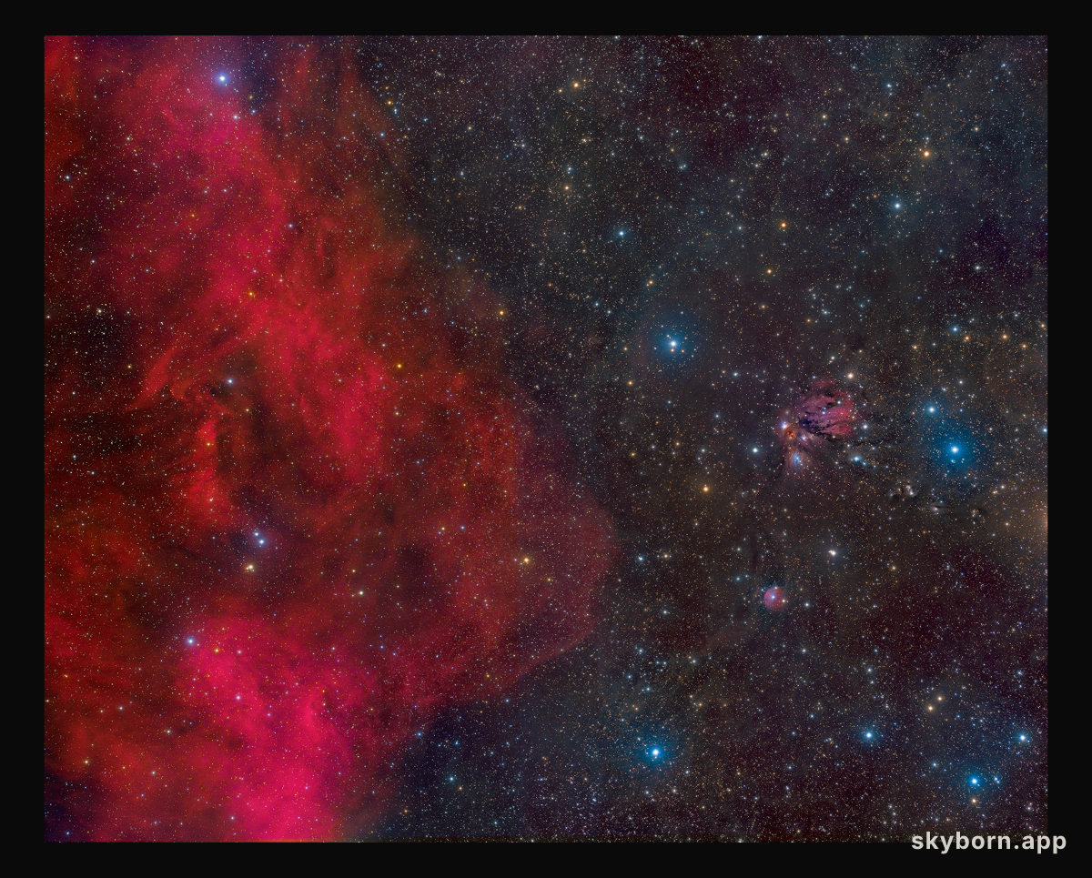 Barnard Stares at NGC 2170