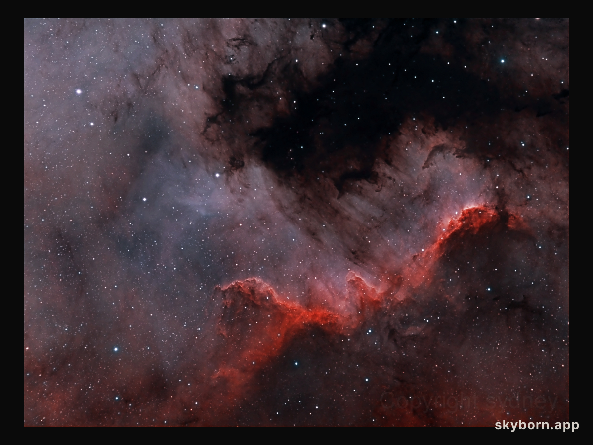 The Cygnus Wall of Star Formation