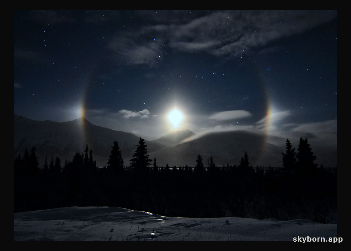 Alaskan Moondogs