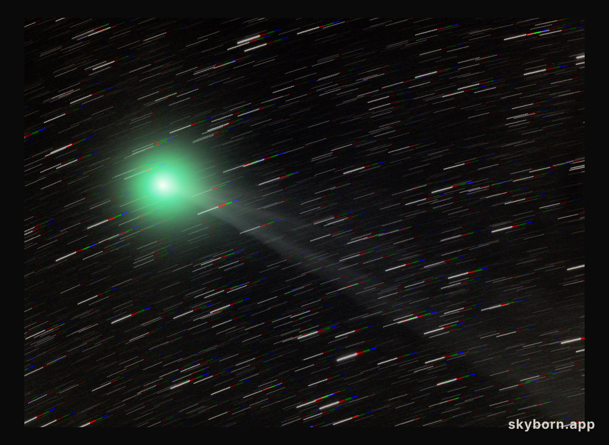 Comet Lemmon near the South Celestial Pole